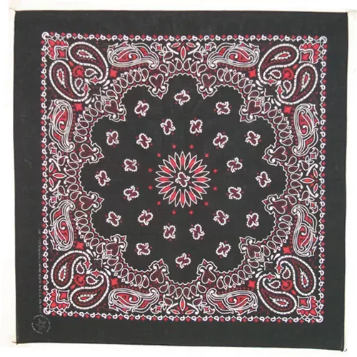 (12 Pack) Black/Red/White Paisley Bandana